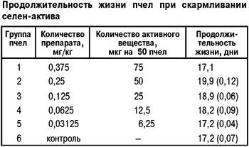 Продолжительность жизни пчел