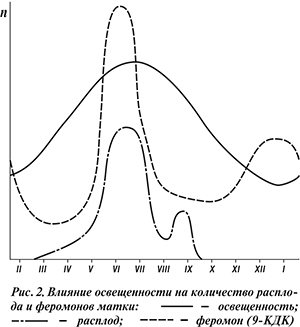 Влияние освещенности на количество расплода