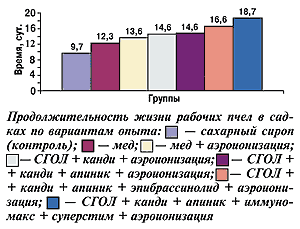 продолжительность жизни рабочих пчел