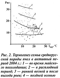 Термогенез семьи среднерусской породы