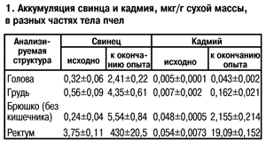 Аккумуляция свинца в телах пчел