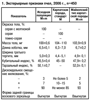 экстерьерные признаки пчел