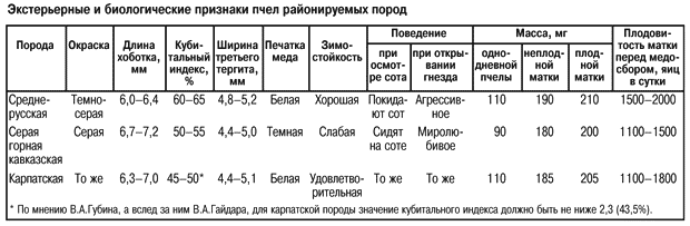 признаки пчел