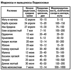 Медоносы и пыльценосы Подмосковья