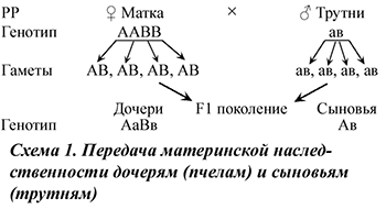Передача материнской наследственности