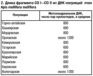 ДНК популяций пчел