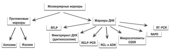 Маркеры и коэффициент наследуемости