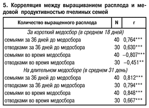 Выращивание расплода и медовая продуктивность
