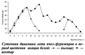 Суточная динамика лета пчел