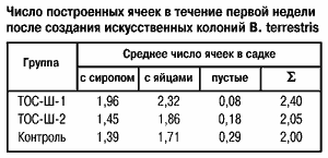 Число построенных ячеек