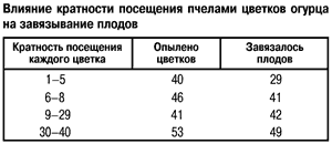Влияние пчел на завязывание огурцов