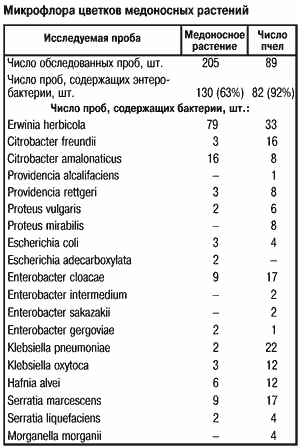 Микрофлора цветков