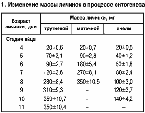 Изменения массы личинок пчел