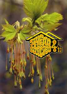 Пчеловодство № 4 2010