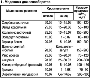 Медоносы