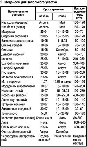 Медоносы