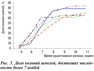 шмели