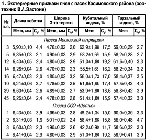 Экстерьерные признаки пчел