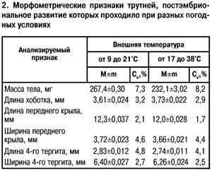 Морфометрические признаки трутней