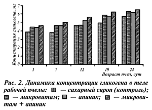Динамика концентрации гликогена