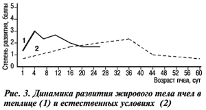 Динамика развития в естественных условиях