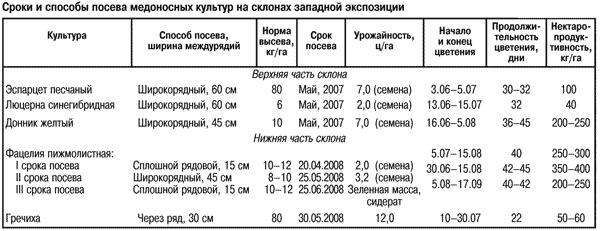 Сроки и способы посева медоносных растений