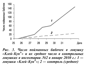 Пойманные бабочки огневки