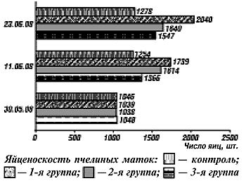 яйценоскость пчелиных маток