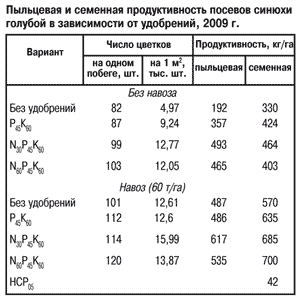 Продуктивность посевов синюхи