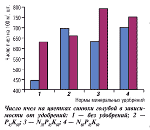 Число пчел на цветках