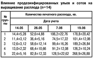 Влияние продезинфицированных ульев на расплод