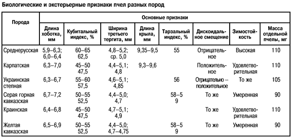 экстерьерные и биологические признаки медоносных пчел
