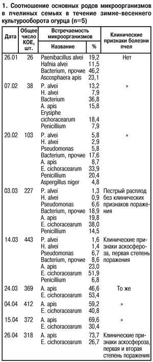 Микроорганизмы в семьях пчел