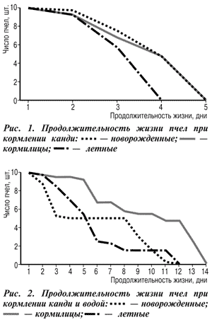 продолжительность жизни пчел при кормлении