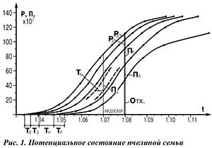 Потенциальное состояние пчелиной семьи