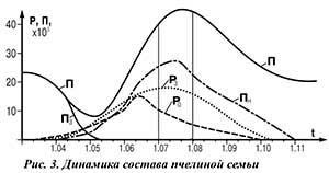 Динамика состава пчелиной семьи