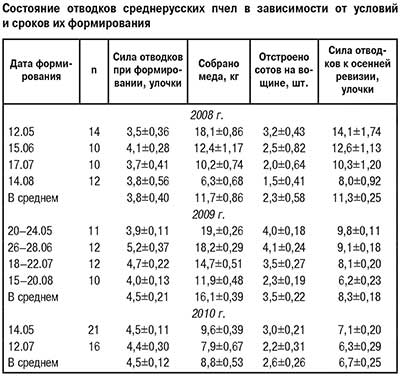 Состояние отводков среднерусских пчел