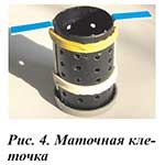 Маточная клеточка