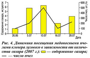 динамика посещения клевера пчелами