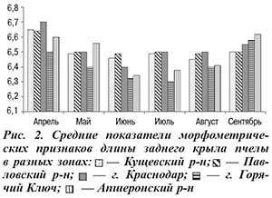 Длина заднего крыла пчел