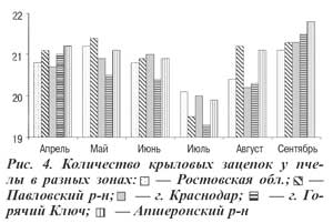 Количество крыловых зацепок у пчел