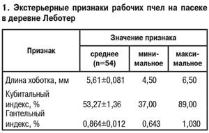 Экстерьерные признаки рабочих пчел