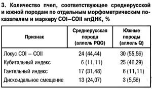 Количество пчел разных пород