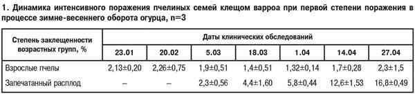 Динамика поражения пчел клещом варроа