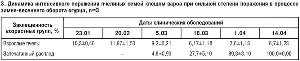 Динамика интенсивного поражения пчел варроатозом