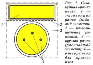 Рамка пчел