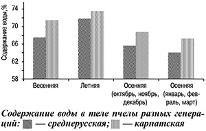 Содержание воды в теле пчел