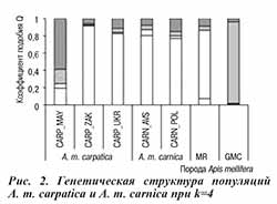 Генетическая структура популяций пчел