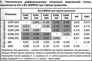 Популяции медоносной пчелы