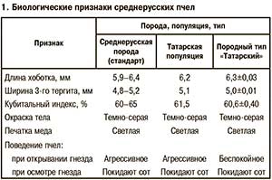 среднерусские пчелы